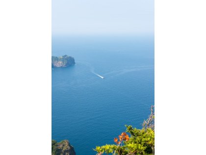 [포항영일만신항/4도탐방] 울릉도 독도 죽도 관음도 4일 ＜크루즈/모텔급/육로완전일주＞