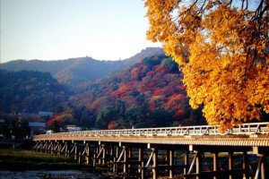 [오후OZ,여유로운출발] 오사카/교토/아라시야마/나라 4일 (1일자유/시내연박/3대특식/USJ선택가능)